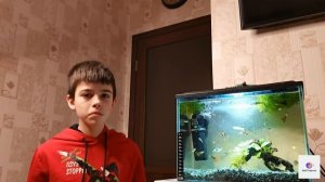 Аквариум 15 литров.