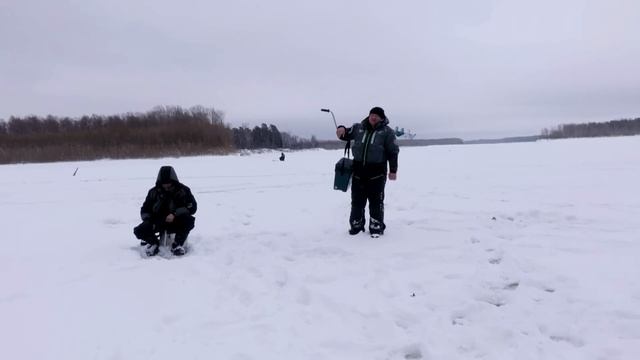 ЭТО ИХ ГНЕЗДО! Опустил блесну под корягу и тыдыщ! смотреть онлайн