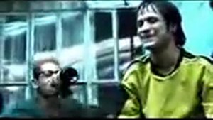 Дельфин Собачий Бой