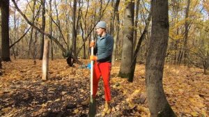 СТРОИМ ИЗБУ В ЛЕСУ | ПЕРЕЕЗЖАЕМ В ТАЙГУ | ПЕРВАЯ СЕРИЯ