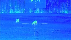 Тепловизионный прицел ЛЕГАТ 355 палитры