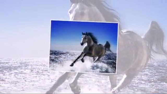 Благородство и красота смотреть онлайн