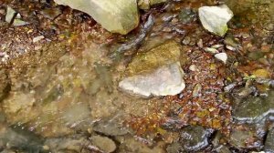 Звуки природы — Апрельский шум ручья — Звук воды