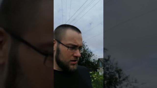 сильные потери в саду.