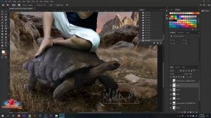 photoshop ideas (photography digital art adobe photoshop cc) turtle shepherd