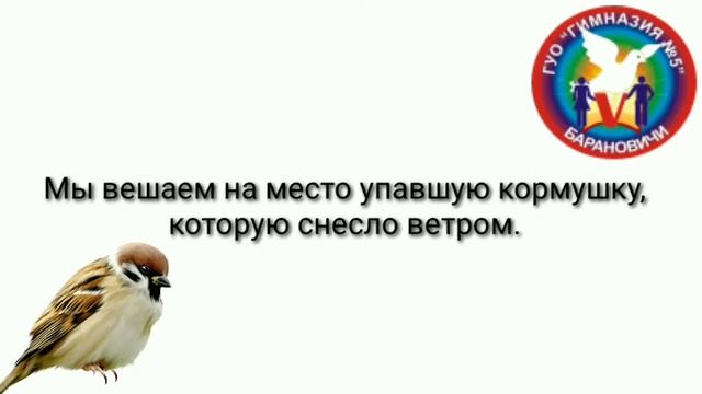 Забота о птицах Романов Савелий и Свиридчук Юрий