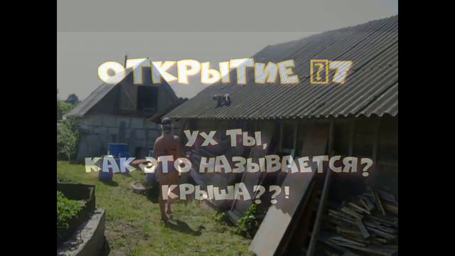 Записки от Анфиски - 2, или деревенские приключения городской кошки.