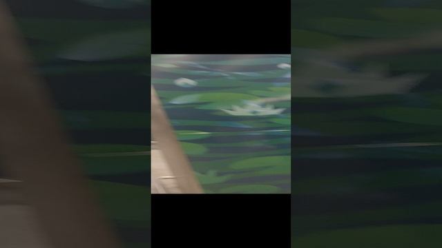 20230724_Мы на Озерной