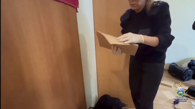 В Тюменской области полиция установила причастность игромана онлайн-казино к 11 мошенничествам