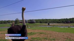 Руссо Туристо: где отдохнуть в Башкирии, поймать форель и посетить Страусиную ферму