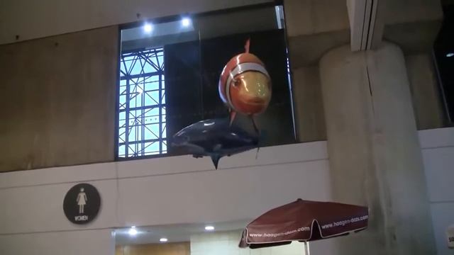 Летающие рыбы Акула и Рыба клоун смотреть онлайн