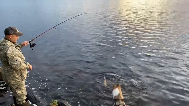 Рыбалка за 5 минут. Вечерний клев. Щучка и окушок. Рыбалка потфасту. С мужем на рыбалке смотреть онлайн