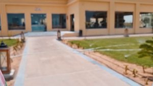 Египетские Мальдивы Хургада Albatros Beach Club Отдых в Египте