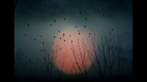 Наша Маленькая Стая - Братья Карамазовы