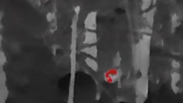 Hikmicro LYNX PRO LE15 Берлога под метровым слоем снега смотреть онлайн