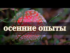Осенние опыты