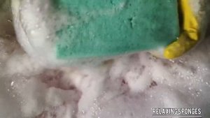 ASMR/Mr.Proper/squeezing sponges/rinsing sponges