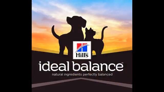 корм для кошек интернет магазин смотреть онлайн