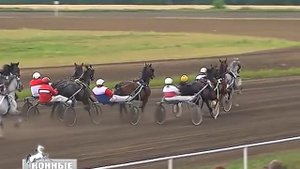 Фестиваль орловского рысака на Воронежском ипподроме 23-24.07.2016