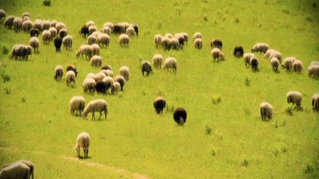 Юрий Белойван. Гуцулы, Другие люди / Hutsuls. Other people