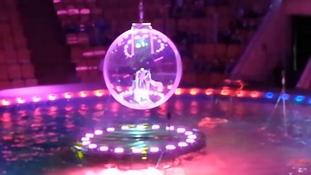 Карташова Ольга, Демченко Арина в сфере аквашоу цирк Шевченко смотреть онлайн