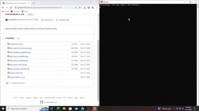 secret dero walkthru | Windows WSL Ubuntu DERO full node and fastsync смотреть онлайн