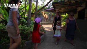 Экскурсии Пхукета. Пхукет для всей семьи