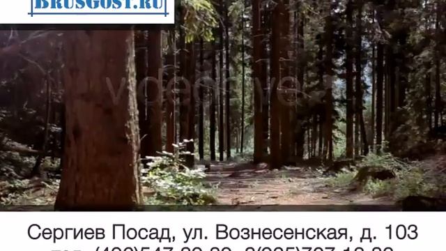 Компания-производитель профилированного бруса "Brusgost.ru" смотреть онлайн