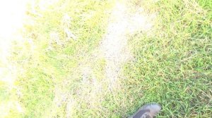 Охота с иж 27. Отличное ружьё!!!