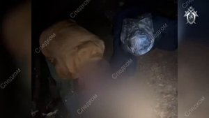 СК побывал на месте убийства 13 летней школьницы