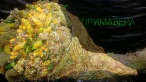 Осенние формы. Рог изобилия.