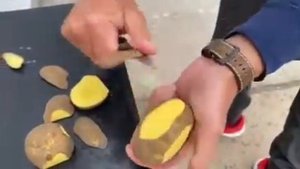 Картофель гала