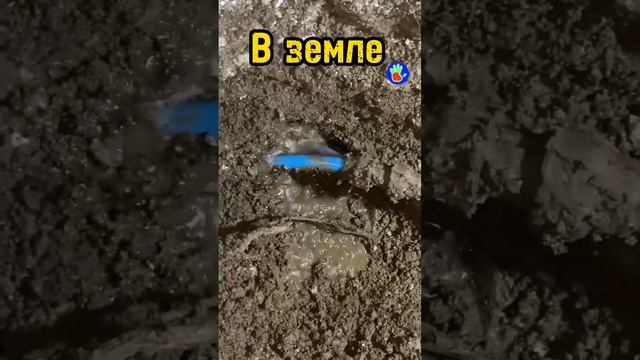 Как избавиться от сырости в доме? #затопилисоседи #симферополь #севастополь #ялта