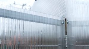 Какой поликарбонат выбрать для теплицы