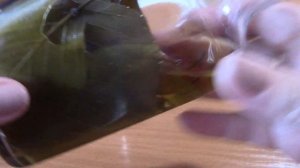 Лечение зуда и грибка кожи в области паха