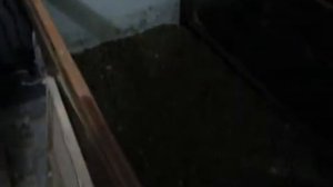 Брудер для цыплят своими руками за полчаса или вторая жизнь советского серванта