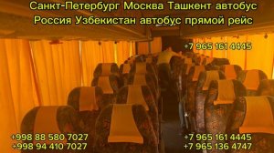 10-08-2024 Санкт-Петербург Москва Шымкент Ташкент Самарканд Худжанд автобус #москваташкентавтобус