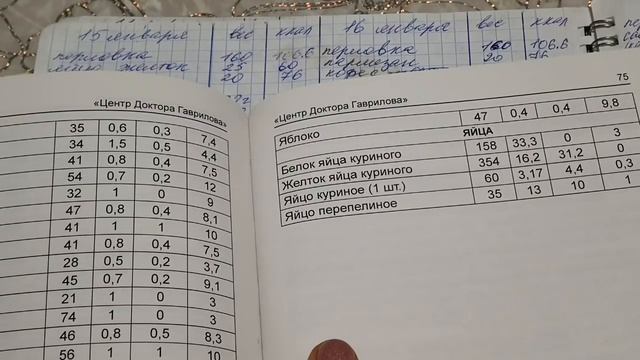 ?Мой блокнот-часть 2.  Елизавета позирует? Котлетки в бульоне по домашнему? смотреть онлайн
