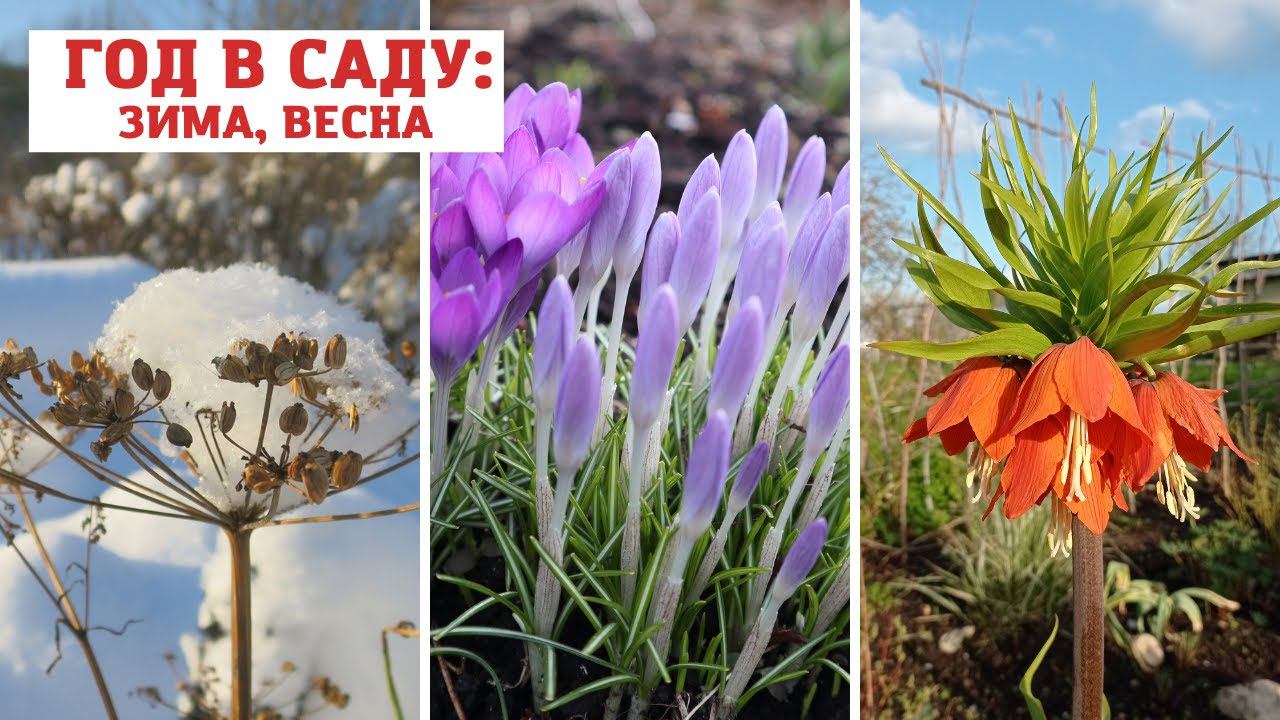 ГОД в САДУ / Зима - весна 2021