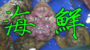 Элитный ресторан Гуанчжоу. Как отдыхают не бедные люди.