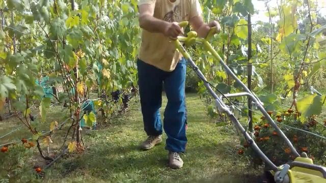 ТЕСТ ГАЗОНОКОСИЛКА RYOBI ONE+ И всетаки купил смотреть онлайн