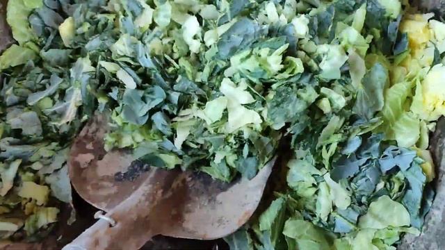Чем кормить кур-несушек зимой! Рационально, полезно и дёшево.
