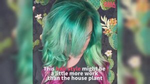 Succulent hair is the newest trend people are falling in love with