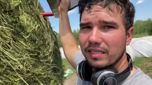 Прессуем горох, перевозим и обматываем сенаж