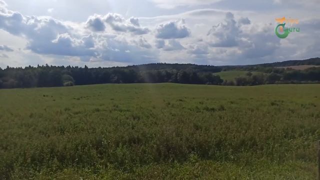 За колючей проволокой смотреть онлайн