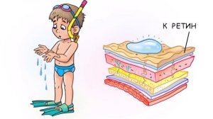 почему кожа загорает