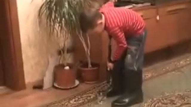 Как напугать акулу смотреть онлайн