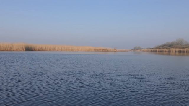 РЫБАЛКА НА проваренный горох СРАЧ С МИХАЛЫЧЕМ смотреть онлайн