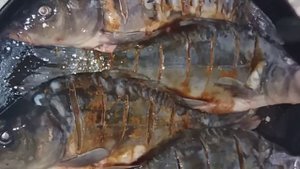 Как запекти сочного карпа в духовке.