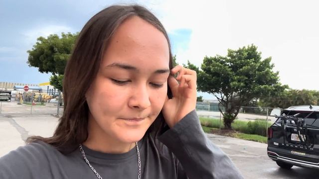 Приюты в америке. Помощь бездомным животным смотреть онлайн